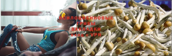 гашишное масло Богданович